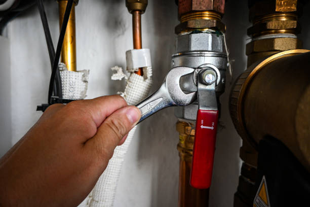 Best Leak Detection Services  in Kingston, PA